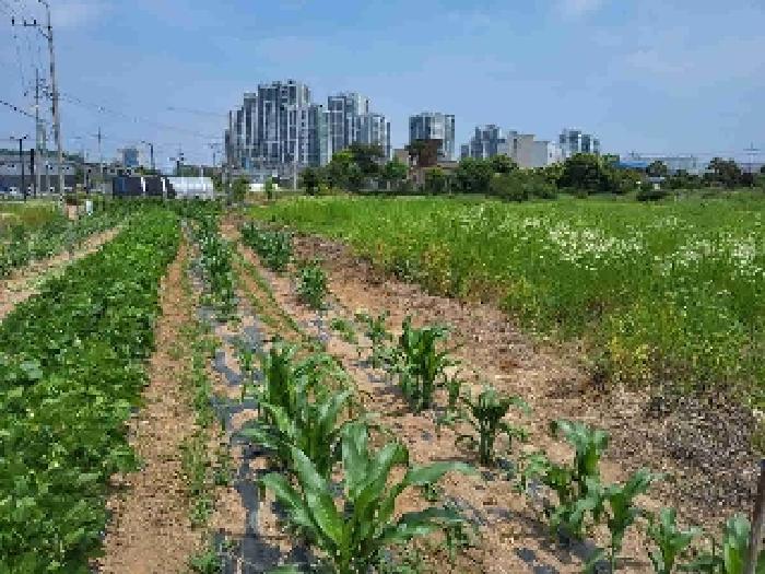 경기 화성시 향남읍 전 경매 물건 사진 3 · 2025타경56044