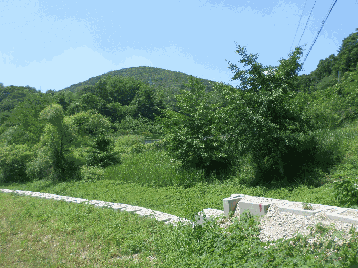경기도 용인시 처인구 양지면 제일리 58-1 대지,임야,전답 경매 물건 사진