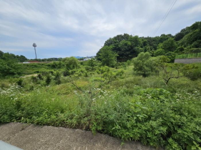 경기 용인시 처인구 양지면 대지,임야,전답 경매 물건 사진 4 · 2025타경56082