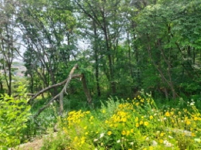 경기 용인시 수지구 신봉동 답 경매 물건 사진 5 · 2025타경56089