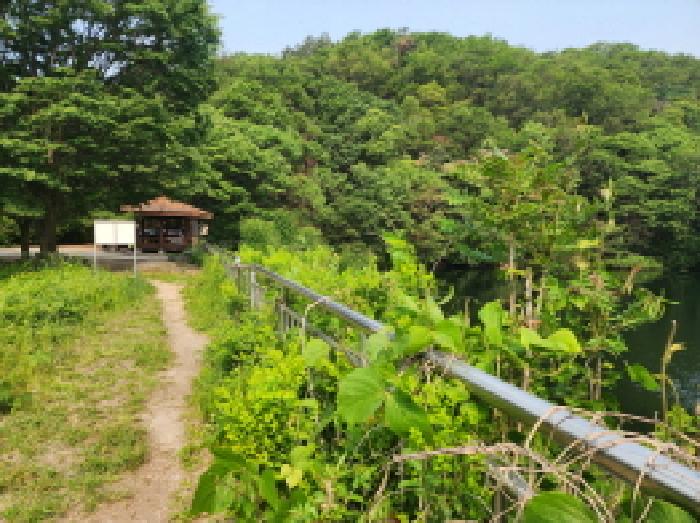 경기 수원시 장안구 하광교동 임야 경매 물건 사진 2 · 2025타경56093