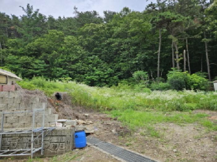 경기 용인시 처인구 양지면 전 경매 물건 사진 3 · 2025타경56161