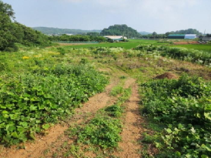 경기 화성시 우정읍 전답 경매 물건 사진