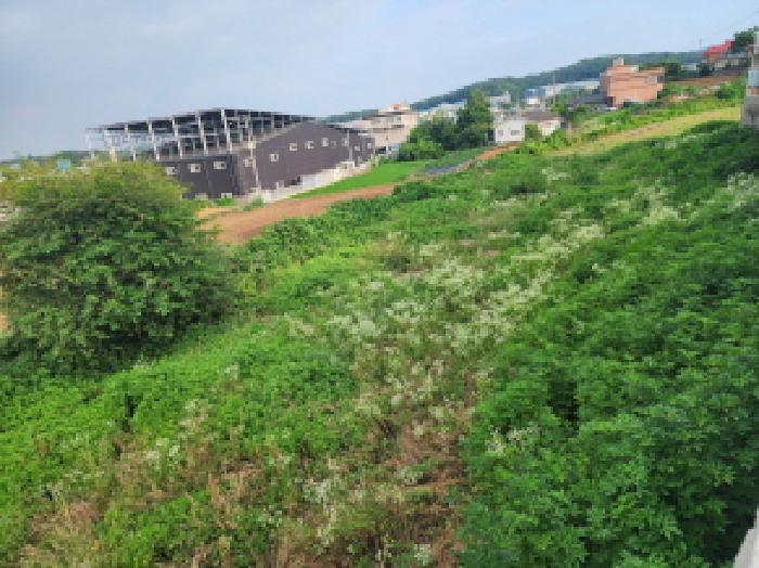 경기 화성시 장안면 전답 경매 물건 사진