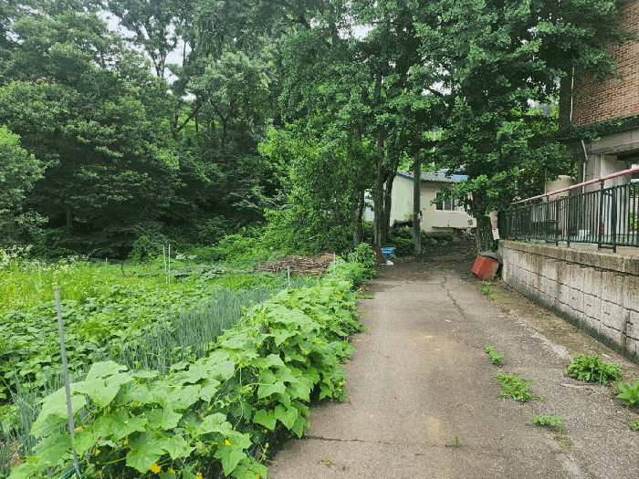 경기 화성시 팔탄면 대지,임야,전답 경매 물건 사진 5 · 2025타경56599