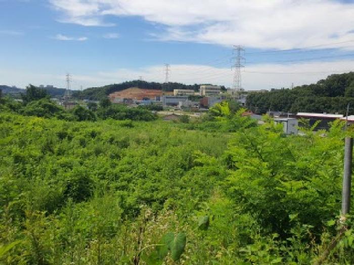 경기 화성시 향남읍 대지,임야,전답 경매 물건 사진