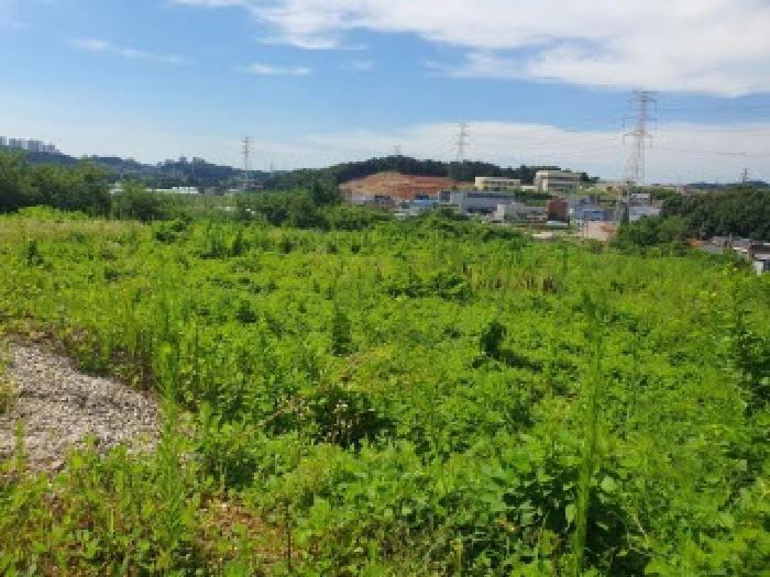 경기 화성시 향남읍 대지,임야,전답 경매 물건 사진 4 · 2025타경56829