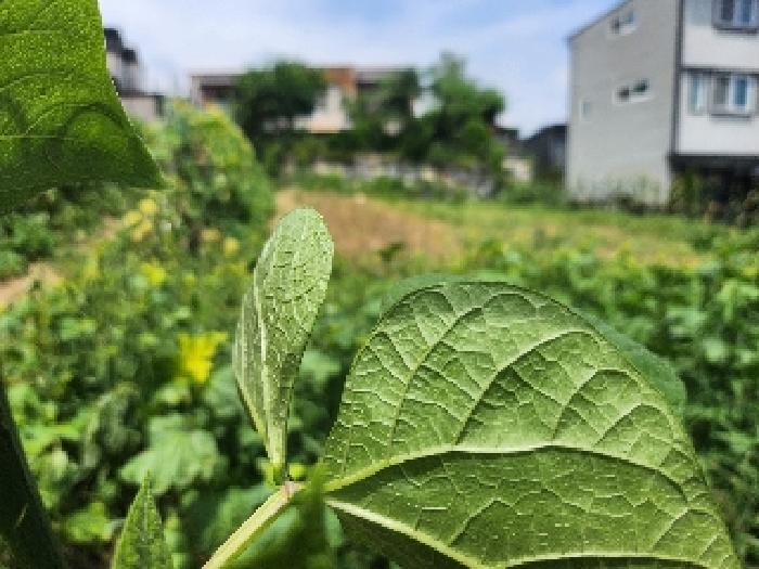경기 용인시 처인구 이동읍 대지,임야,전답 경매 물건 사진 5 · 2025타경56989