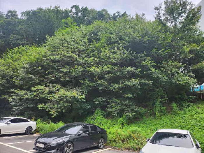 경기 용인시 처인구 남사읍 임야 경매 물건 사진 5 · 2025타경57052