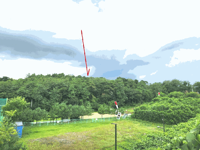 경기 화성시 우정읍 임야 경매 물건 사진 4 · 2025타경57454