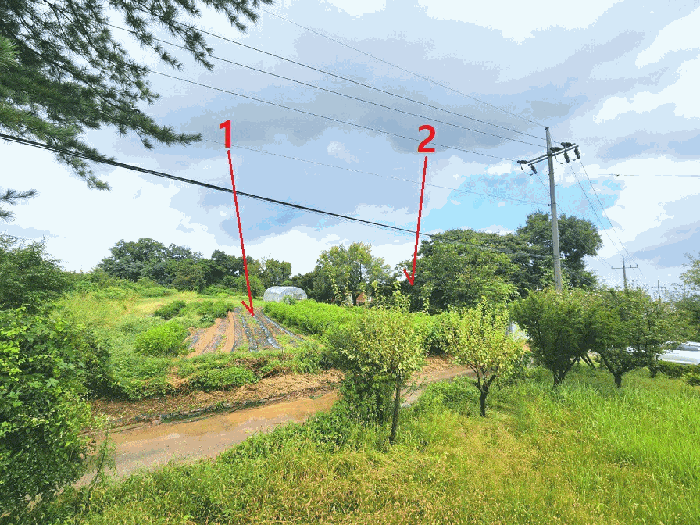 경기 화성시 장안면 임야 경매 물건 사진 5 · 2025타경57524