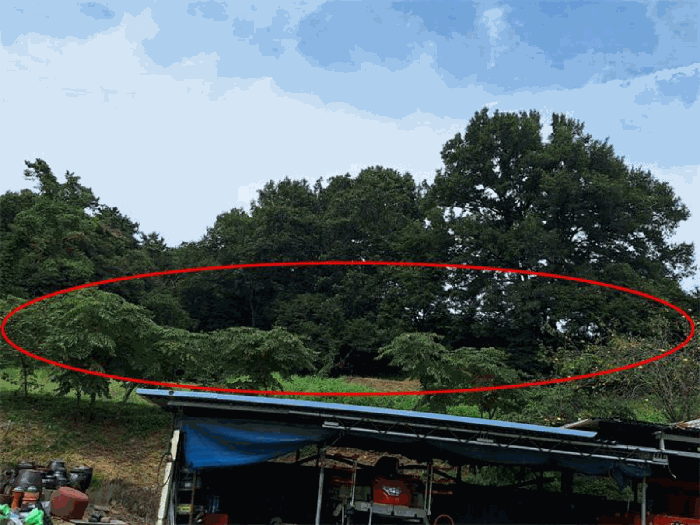 경기 화성시 향남읍 전 경매 물건 사진 6 · 2025타경57627