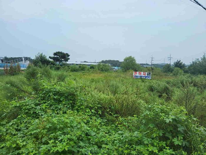 경기 화성시 장안면 전 경매 물건 사진