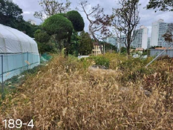 경기 용인시 기흥구 보라동 대지,임야,전답 경매 물건 사진 3 · 2025타경58008