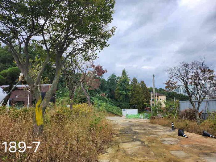 경기 용인시 기흥구 보라동 대지,임야,전답 경매 물건 사진 4 · 2025타경58008