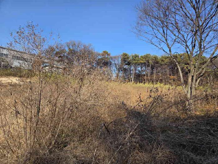경기 용인시 처인구 백암면 전답 경매 물건 사진 4 · 2025타경58477