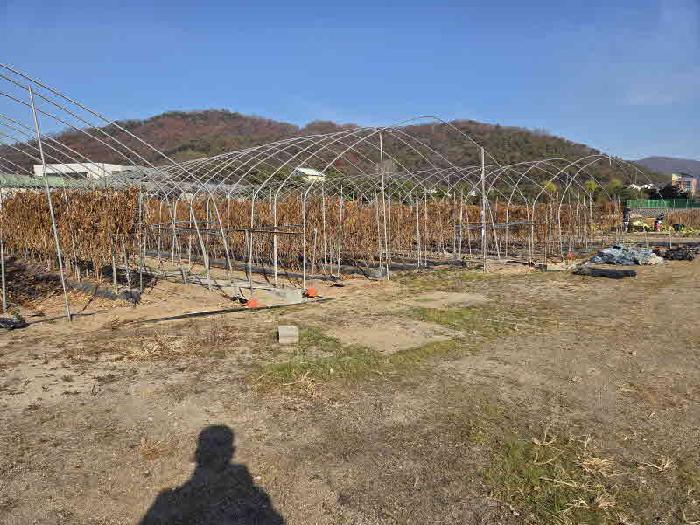 경기 용인시 처인구 백암면 전답 경매 물건 사진
