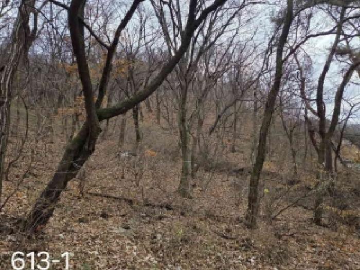 경기 용인시 처인구 모현읍 임야 경매 물건 사진 2 · 2025타경58725