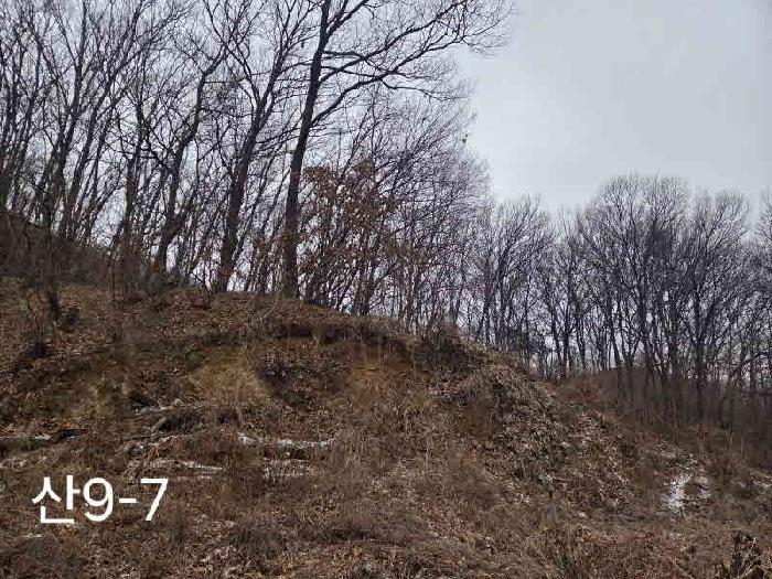 경기 용인시 기흥구 동백동 임야 경매 물건 사진