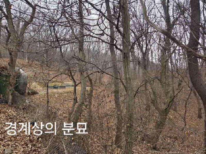 경기 용인시 기흥구 동백동 임야 경매 물건 사진 3 · 2025타경59287