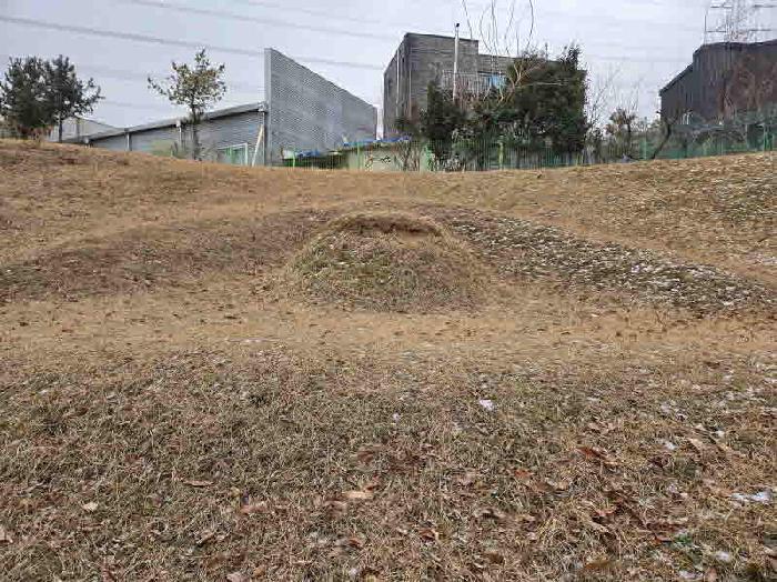 경기 용인시 기흥구 동백동 임야 경매 물건 사진 4 · 2025타경59287