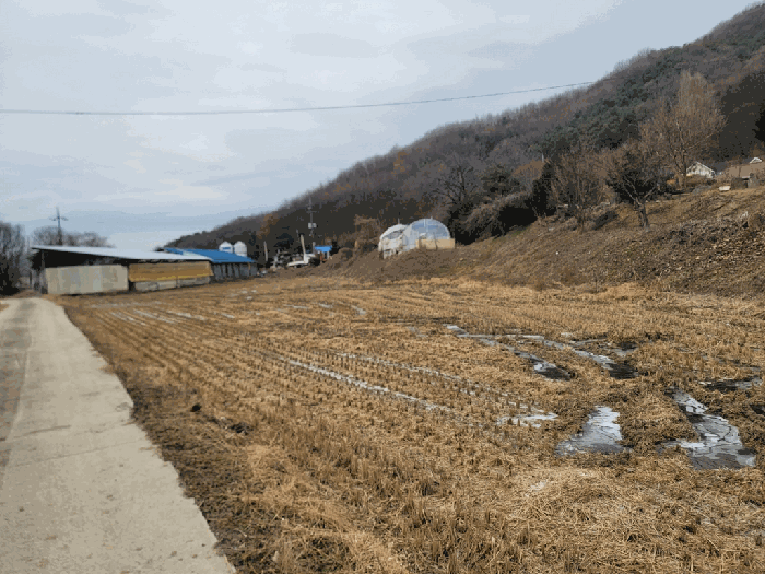 경기 용인시 처인구 원삼면 대지,임야,전답 경매 물건 사진 6 · 2025타경59515