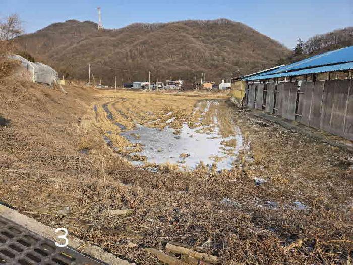 경기 용인시 처인구 원삼면 대지,임야,전답 경매 물건 사진