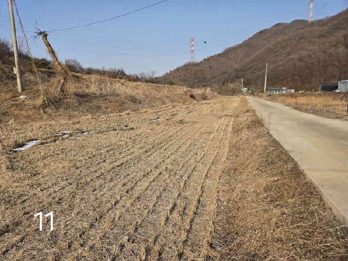 경기 용인시 처인구 원삼면 대지,임야,전답 경매 물건 사진 2 · 2025타경59515