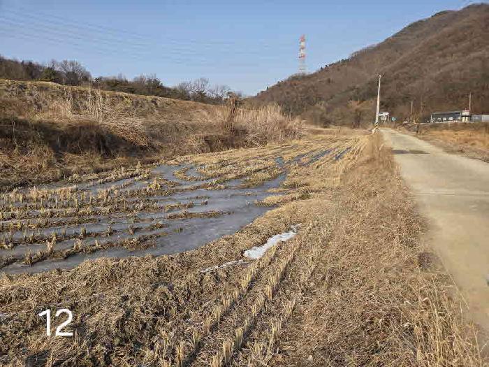 경기 용인시 처인구 원삼면 대지,임야,전답 경매 물건 사진 3 · 2025타경59515
