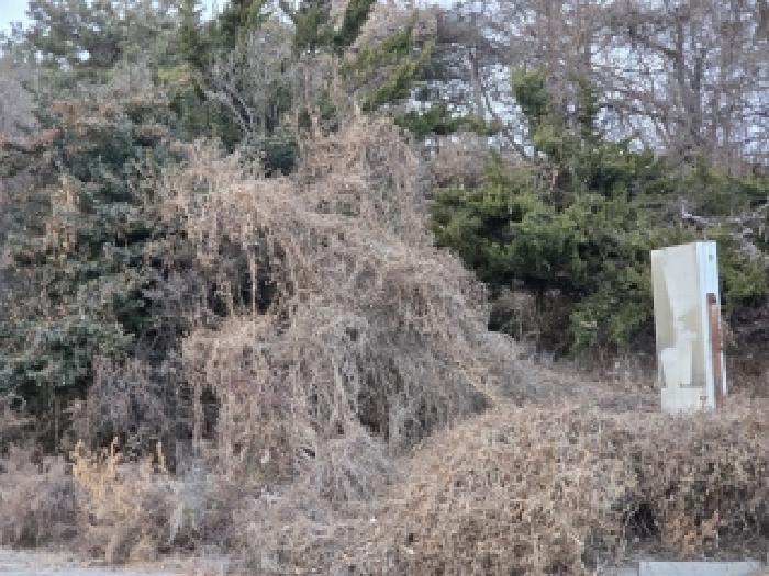 경기 화성시 송산면 대지,임야,전답 경매 물건 사진 3 · 2025타경59586