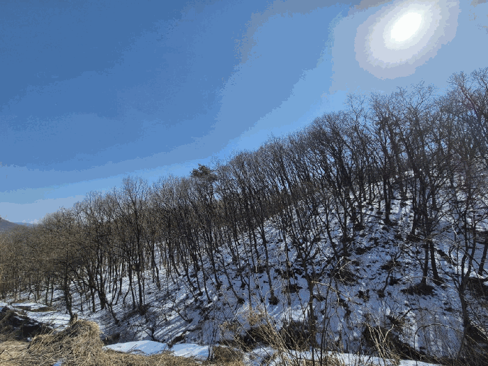 경기 용인시 처인구 백암면 임야 경매 물건 사진 6 · 2025타경777