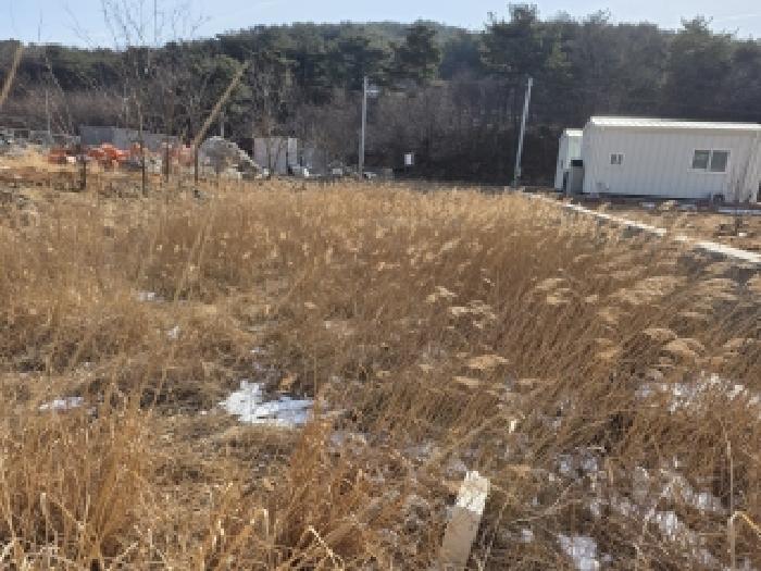 경기 화성시 서신면 대지,임야,전답 경매 물건 사진 2 · 2026타경50114