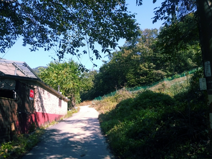 경기도 광주시 퇴촌면 관음리 103-2 임야 경매 물건 사진