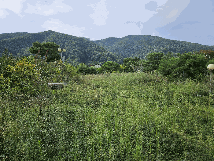 경기도 광주시 회덕동 156-3 과수원 경매 물건 사진