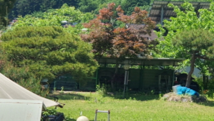 경기 광주시 회덕동 과수원 경매 물건 사진
