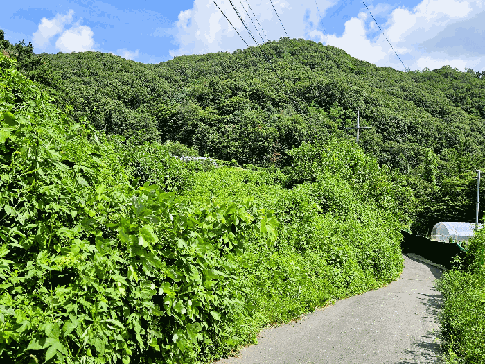 경기도 하남시 상산곡동 812-2 전답 경매 물건 사진