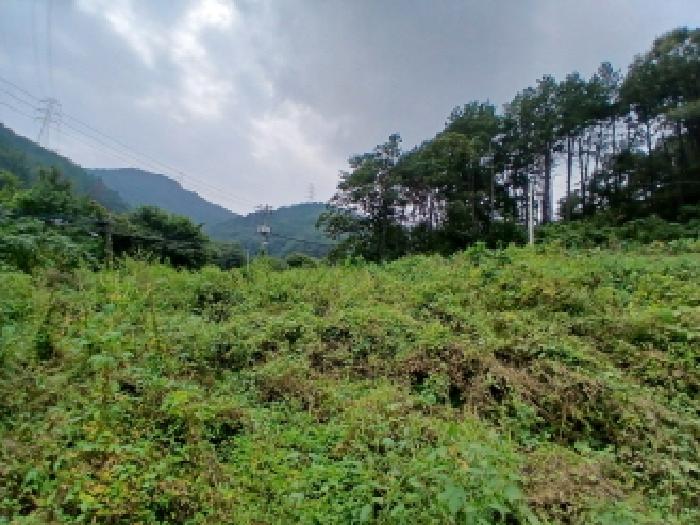 경기 하남시 상산곡동 전답 경매 물건 사진 3 · 2025타경4291