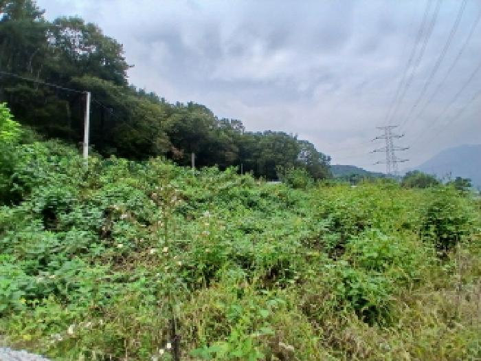 경기 하남시 상산곡동 전답 경매 물건 사진 5 · 2025타경4291