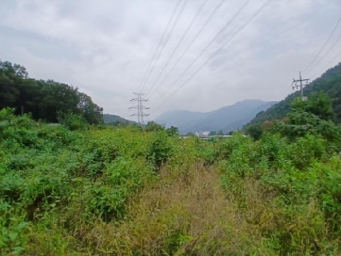 경기 하남시 상산곡동 전답 경매 물건 사진 6 · 2025타경4291