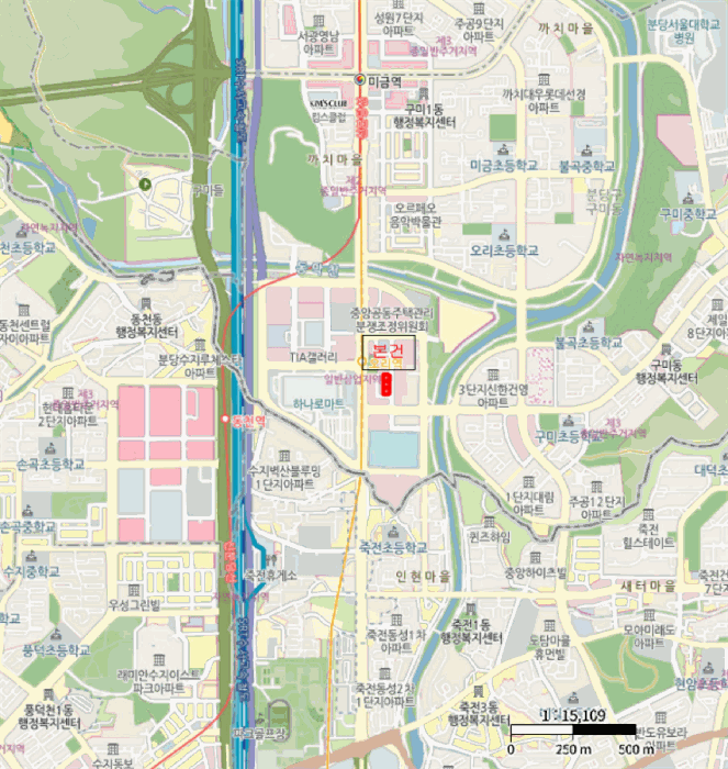 경기 성남시 분당구 구미동 상가,오피스텔,근린시설 경매 물건 사진 3 · 2025타경4314