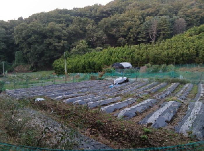 경기 성남시 분당구 대장동 전답 경매 물건 사진 4 · 2025타경4697