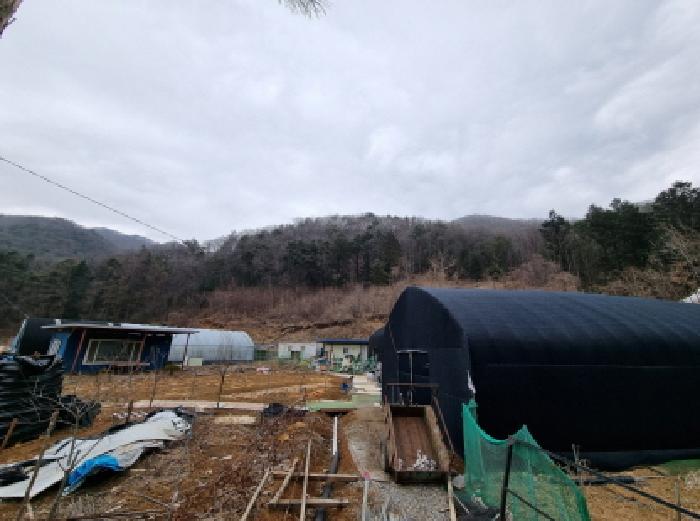 경기 광주시 초월읍 기타 경매 물건 사진
