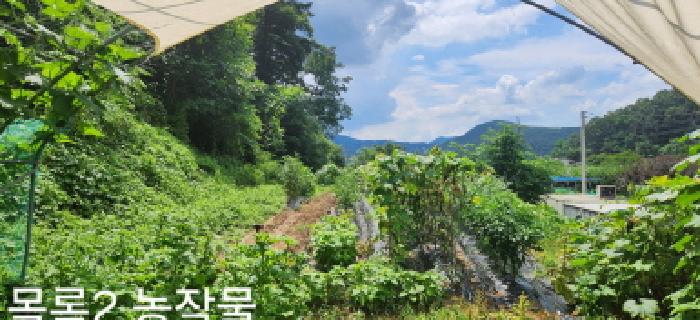 경기 광주시 퇴촌면 전 경매 물건 사진 5 · 2025타경52596