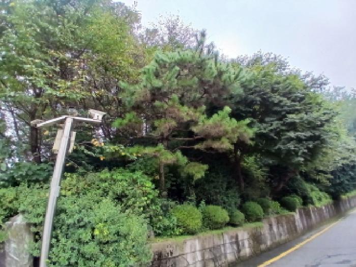 경기 성남시 수정구 시흥동 대지,임야,전답 경매 물건 사진 2 · 2025타경52612