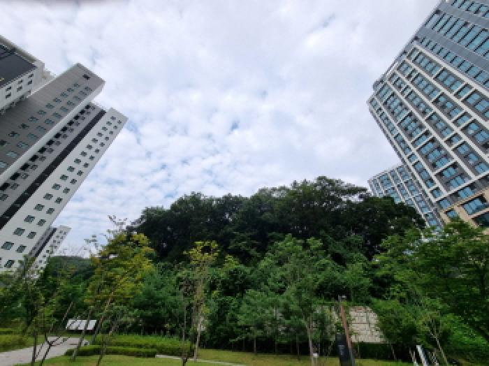 경기 성남시 분당구 대장동 임야 경매 물건 사진 4 · 2025타경52733