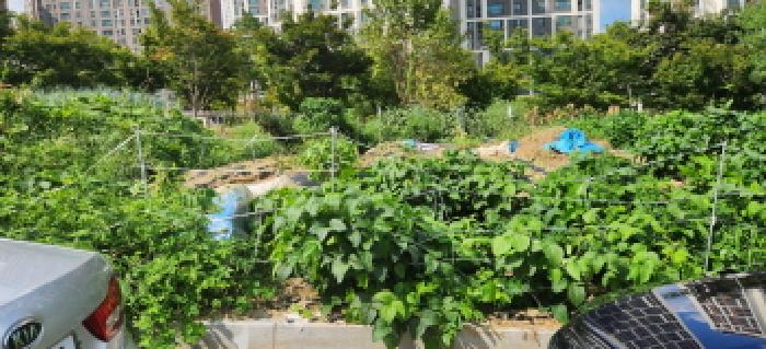 경기 광주시 역동 임야 경매 물건 사진 2 · 2025타경52882