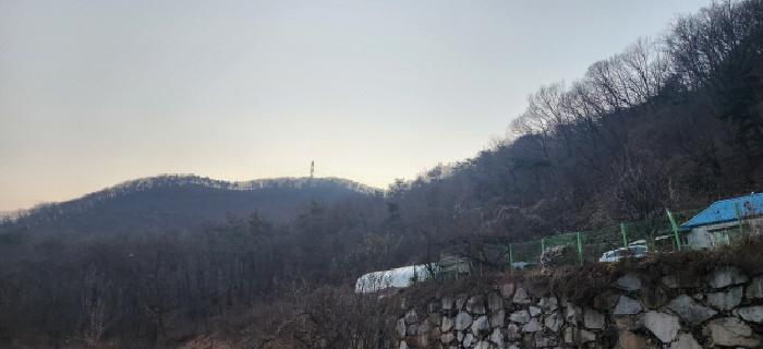 경기 광주시 곤지암읍 임야 경매 물건 사진