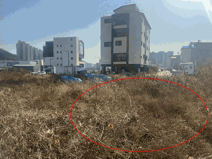 경기 광주시 송정동 대지 경매 물건 사진 5 · 2025타경53370