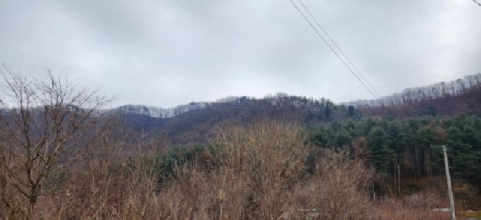 경기 광주시 도척면 임야 경매 물건 사진