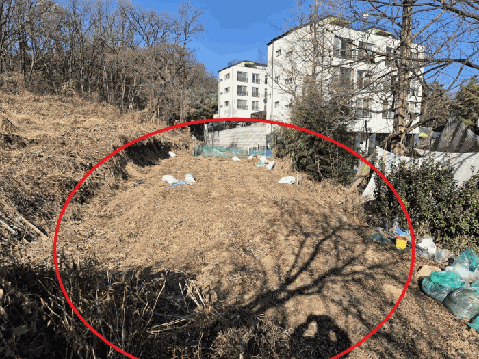 경기 성남시 분당구 서현동 전 경매 물건 사진 6 · 2025타경53798